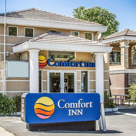 Comfort Inn פאלו אלטו מראה חיצוני תמונה