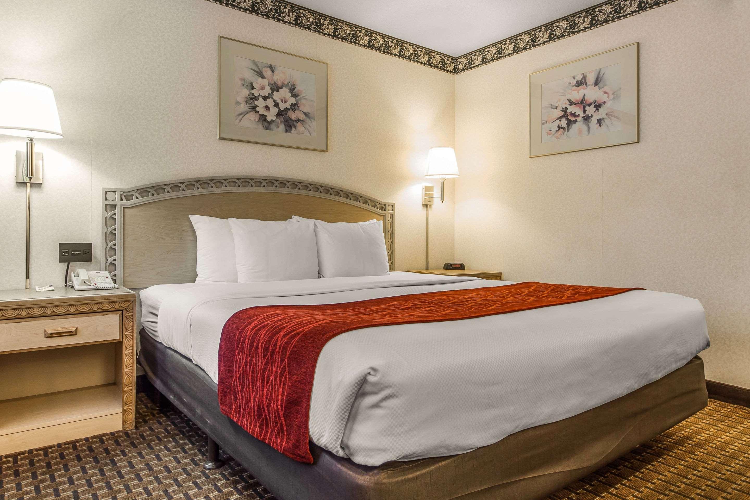 Comfort Inn פאלו אלטו מראה חיצוני תמונה